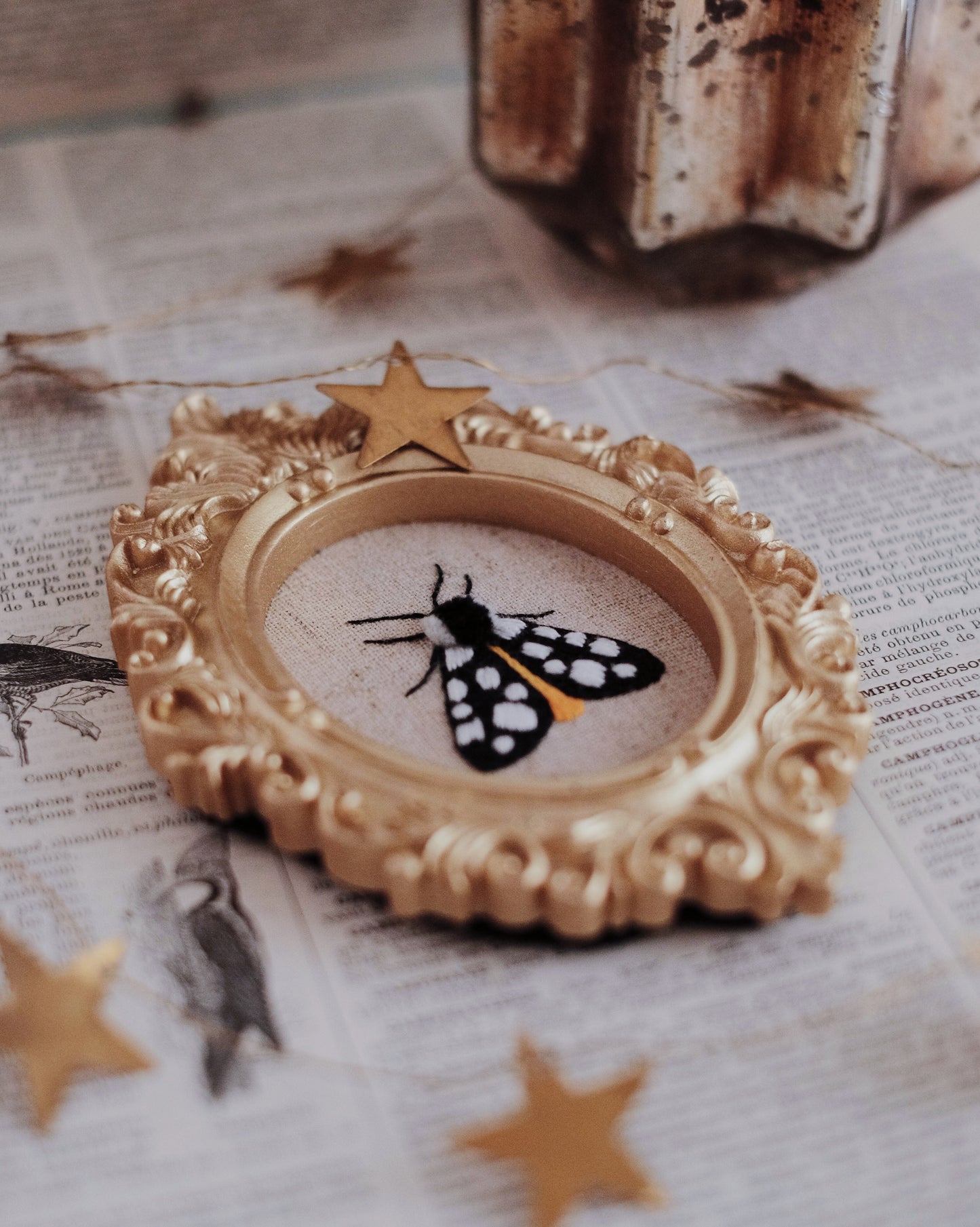 Cadre papillon écaille fermière