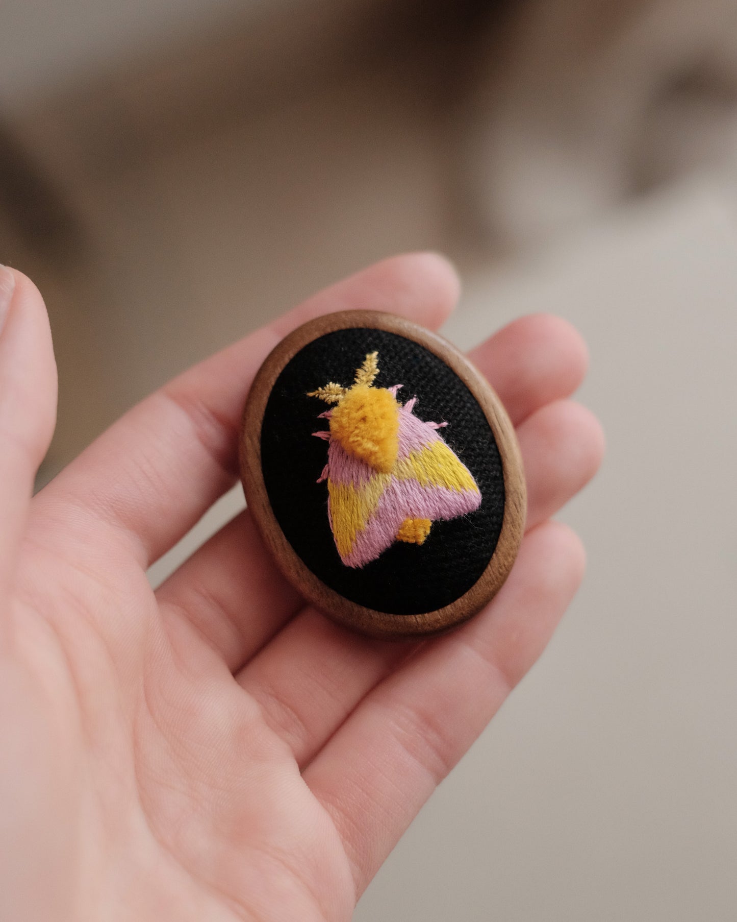 Broche papillon anisote de l'érable