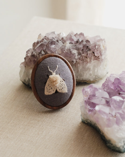 Écaille tigrée (fond gris-violet)
