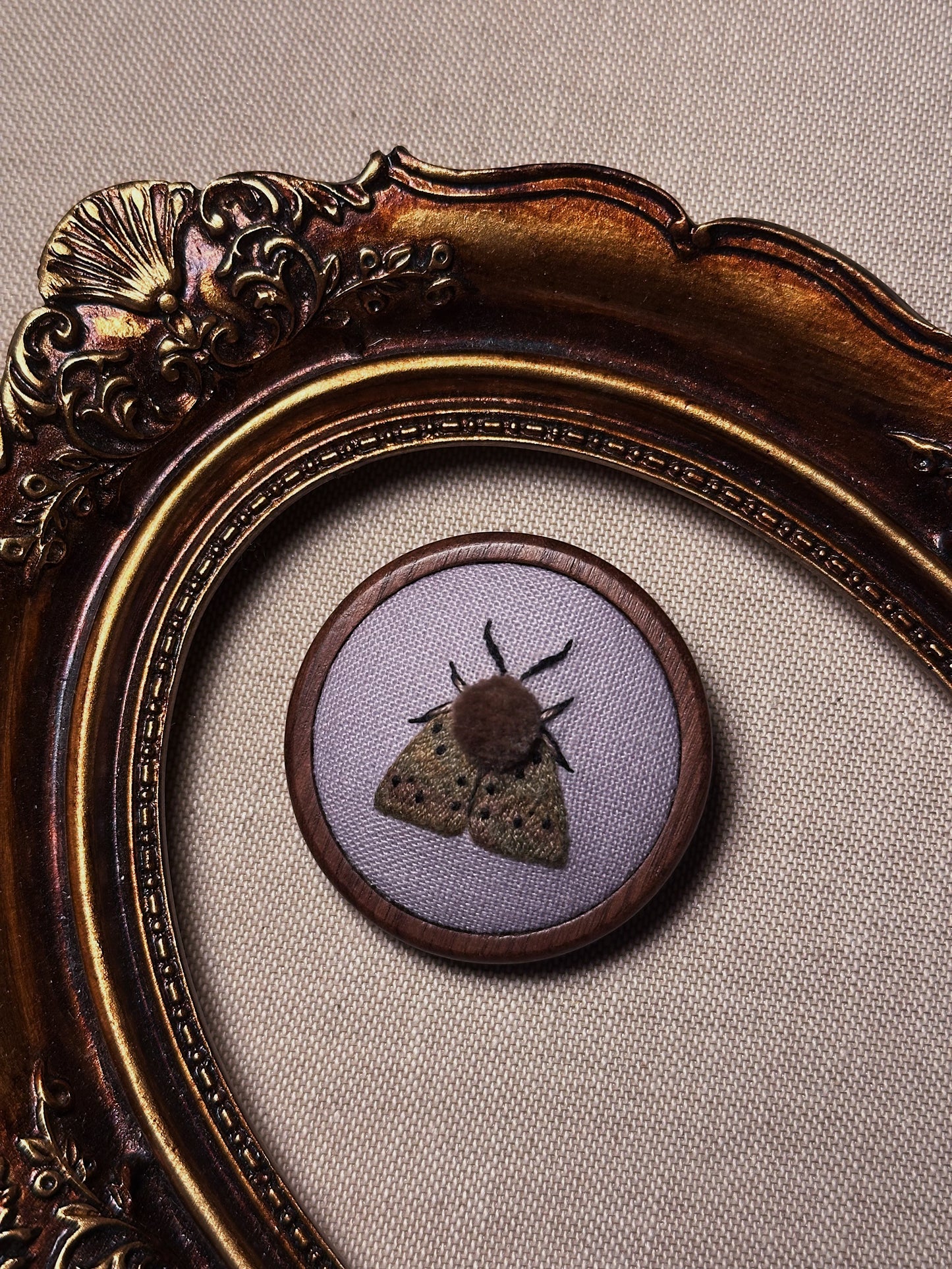 Écaille mendiante - Broche ou mini cadre