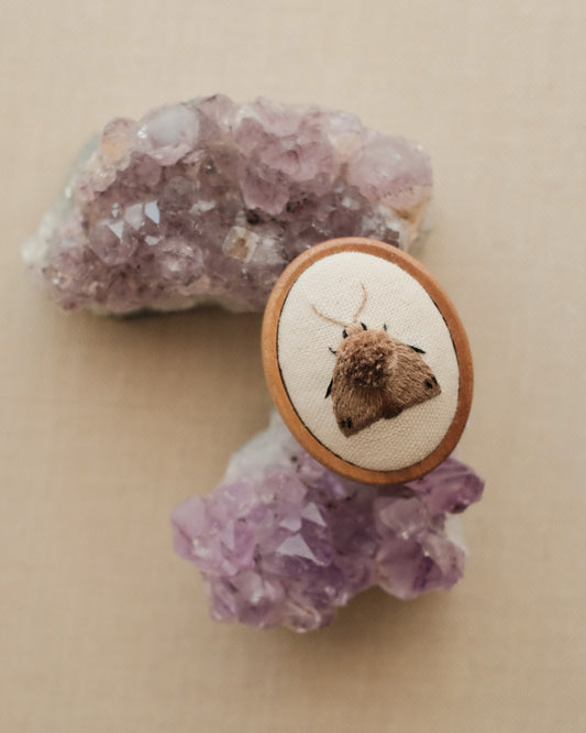 Black-dotted brown moth