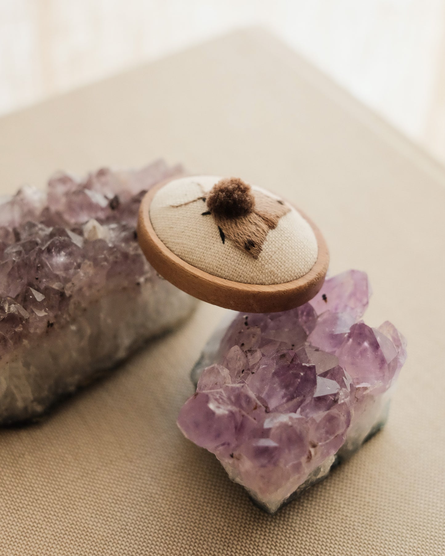 Black-dotted brown moth