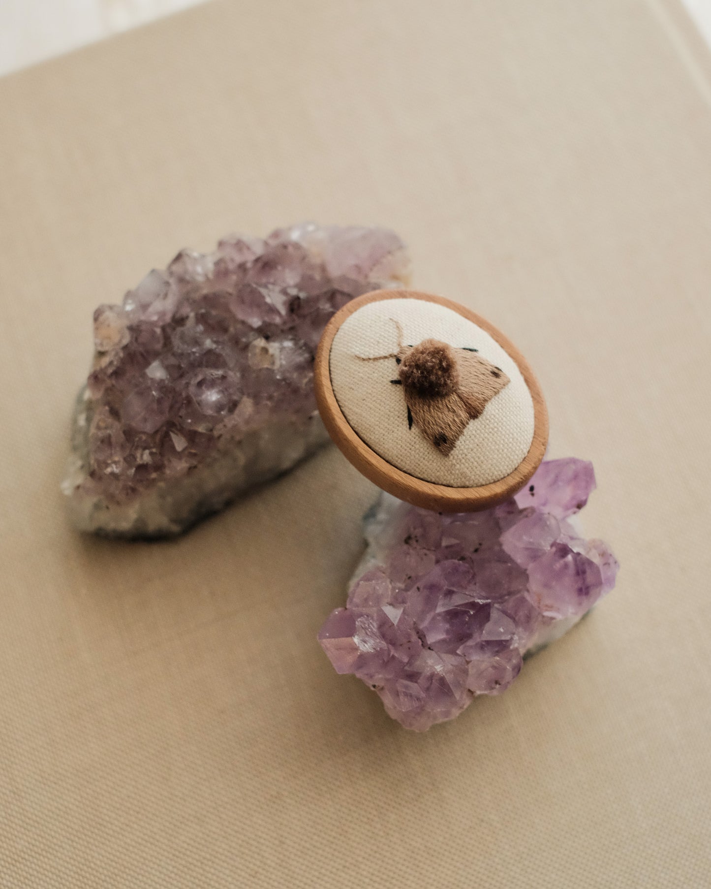 Black-dotted brown moth