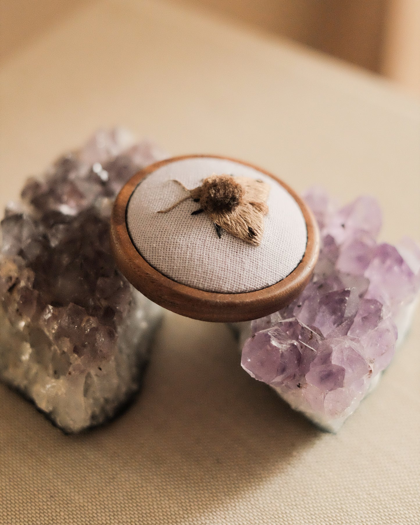 Black-dotted brown moth (fond gris-lilas)