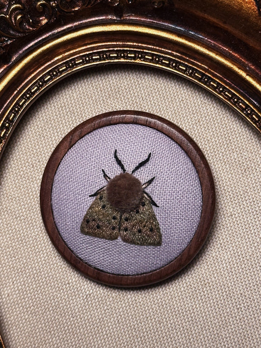 Écaille mendiante - Broche ou mini cadre