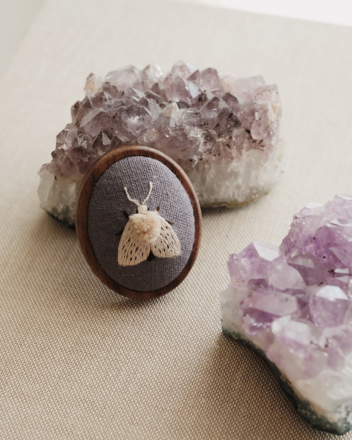 Écaille tigrée (fond gris-violet)